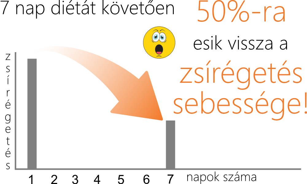 Sikeres fogyás • A zsírégetés legfőbb titka
