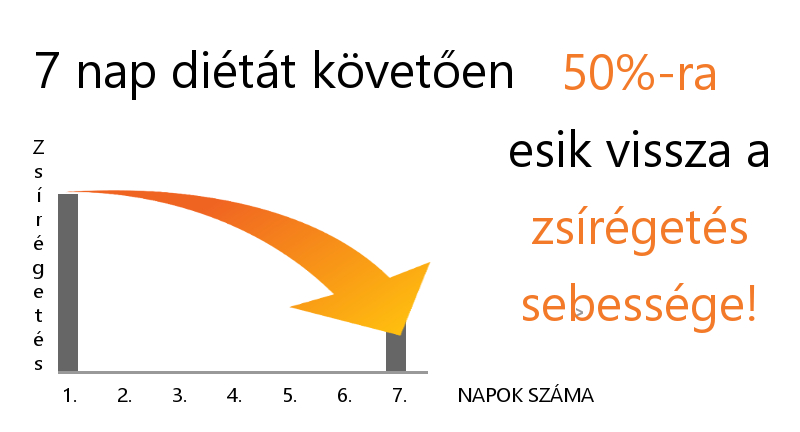 Miért nehéz lefogyni? • Amiről a legtöbb fogyókúra hallgat...