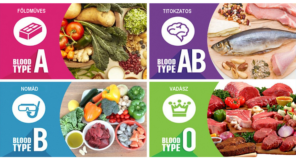 AB0 terv – Vércsoport diéta