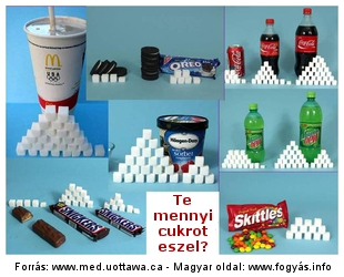 Cukor: Nemcsak a kalória számít! - Miért nem egészséges a cukor?