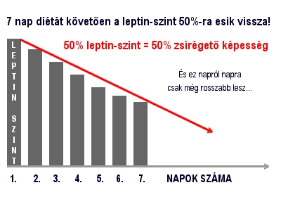 Leptin, egy hormon, ami szó szerint MINDEN zsírégetést irányít!