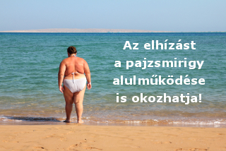 Az elhízást a pajzsmirigy alulműködése is okozhatja!