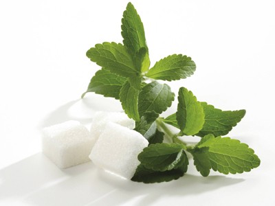 Cukor helyett - 0 kalória - Stevia édesítőszer
