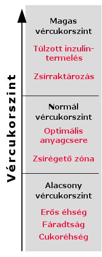 A normál vércukorszint hatékony zsírégetést eredményez